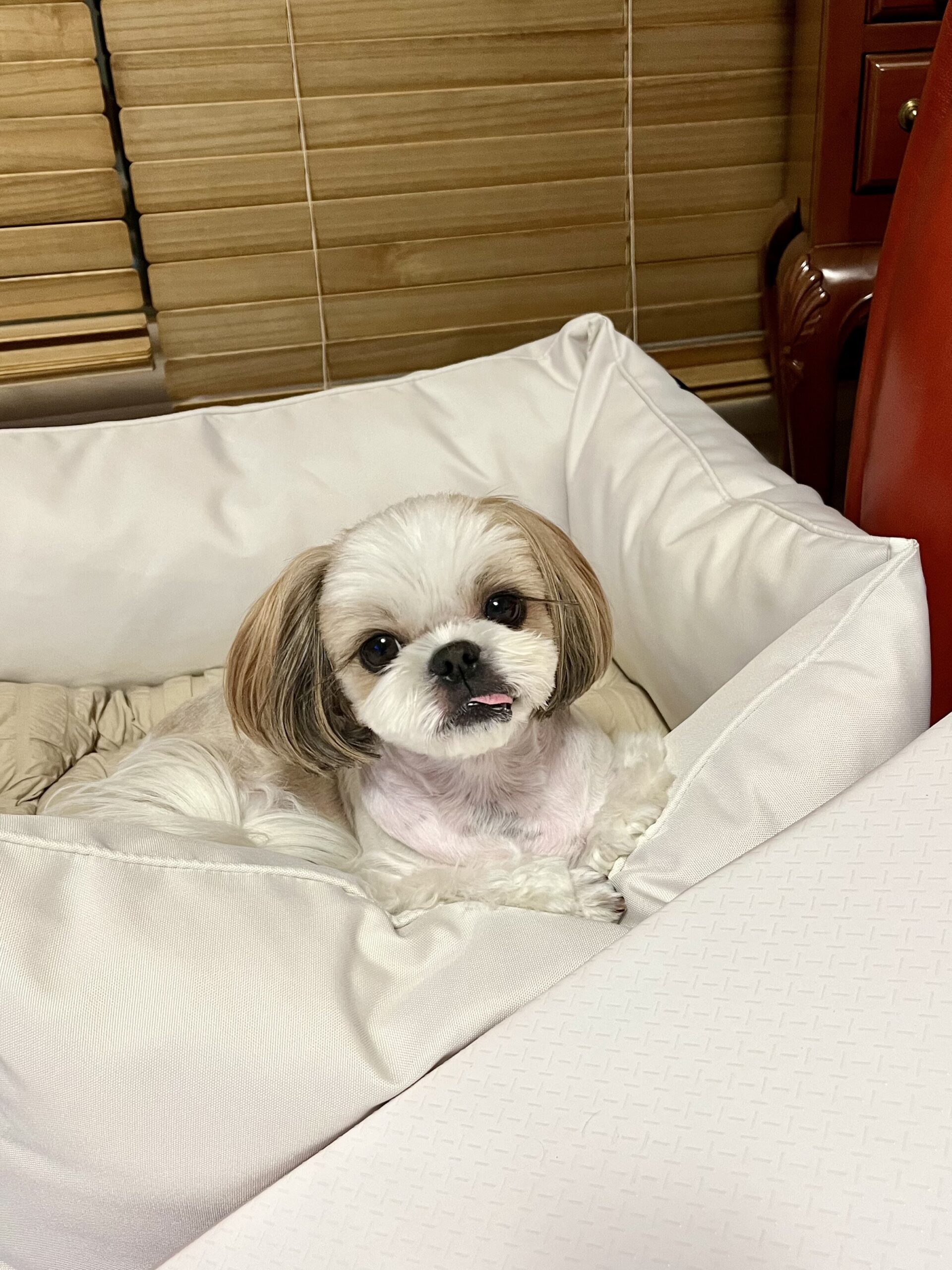 [인터뷰] 채널예스 인터뷰